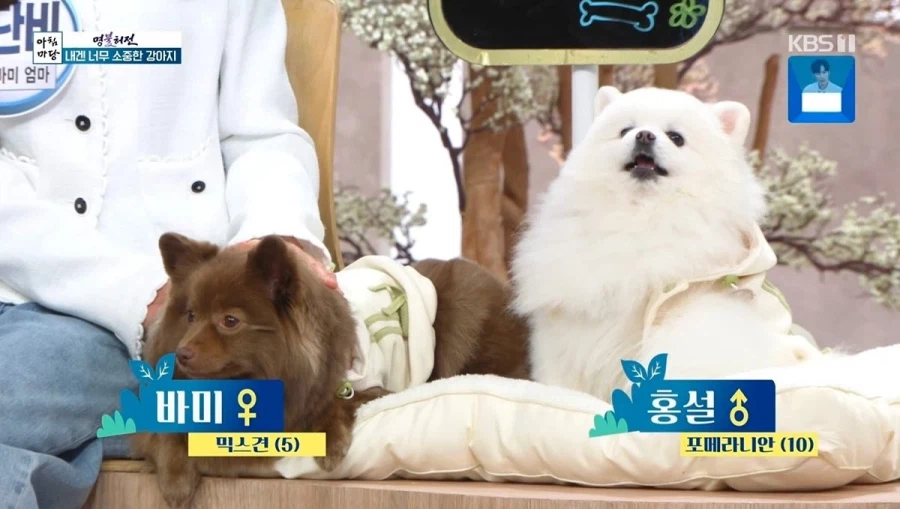 개판이 되어버린 방송국_4.webp