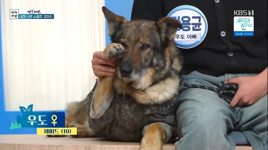 개판이 되어버린 방송국_5.webp