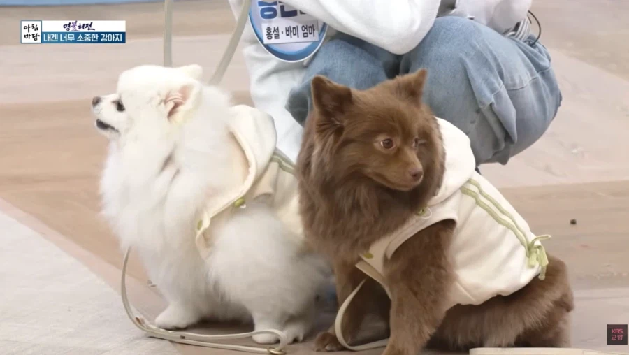 개판이 되어버린 방송국_6.webp