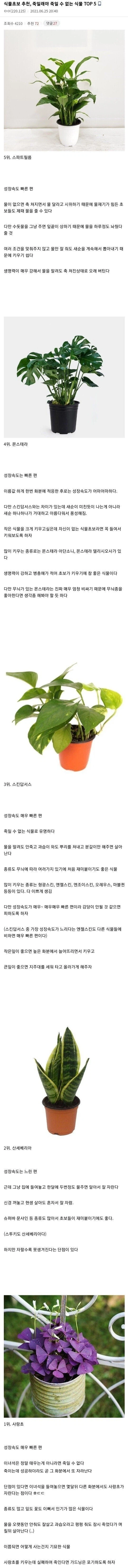 초보도 죽일 수가 없다는 식물들 jpg._1.webp