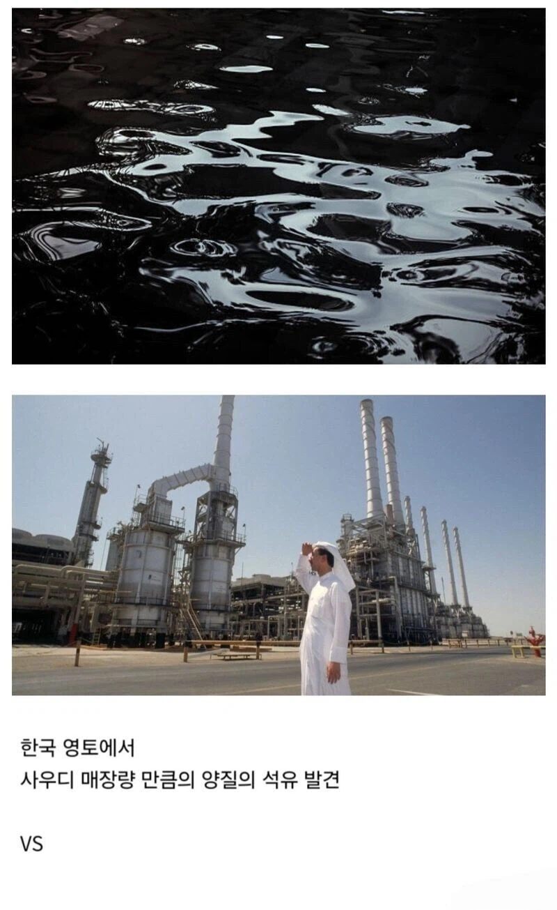 한국에서석유발견 vs 100만원 받기.jpg_2.webp