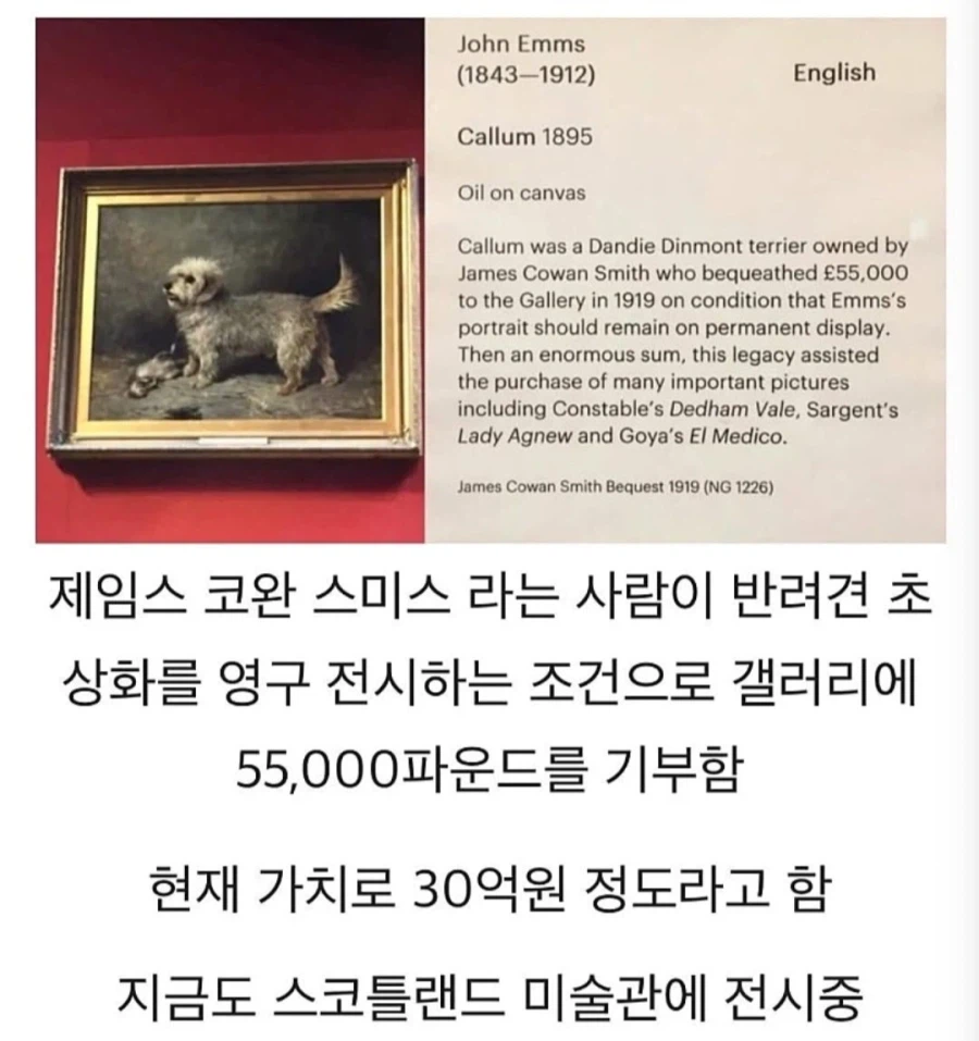 주인이 반려견을 너무 사랑해서 그리게한 초상화.jpg_2.webp