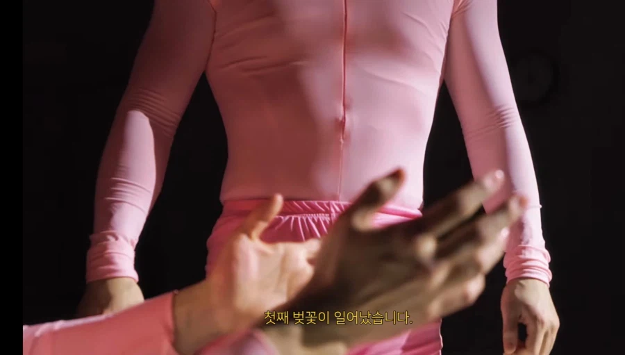 충주맨에 이은 미1친 제천시 벚꽃축제 홍보영상ㅋㅋ_4.webp