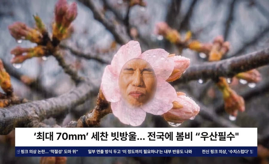충주맨에 이은 미1친 제천시 벚꽃축제 홍보영상ㅋㅋ_9.webp