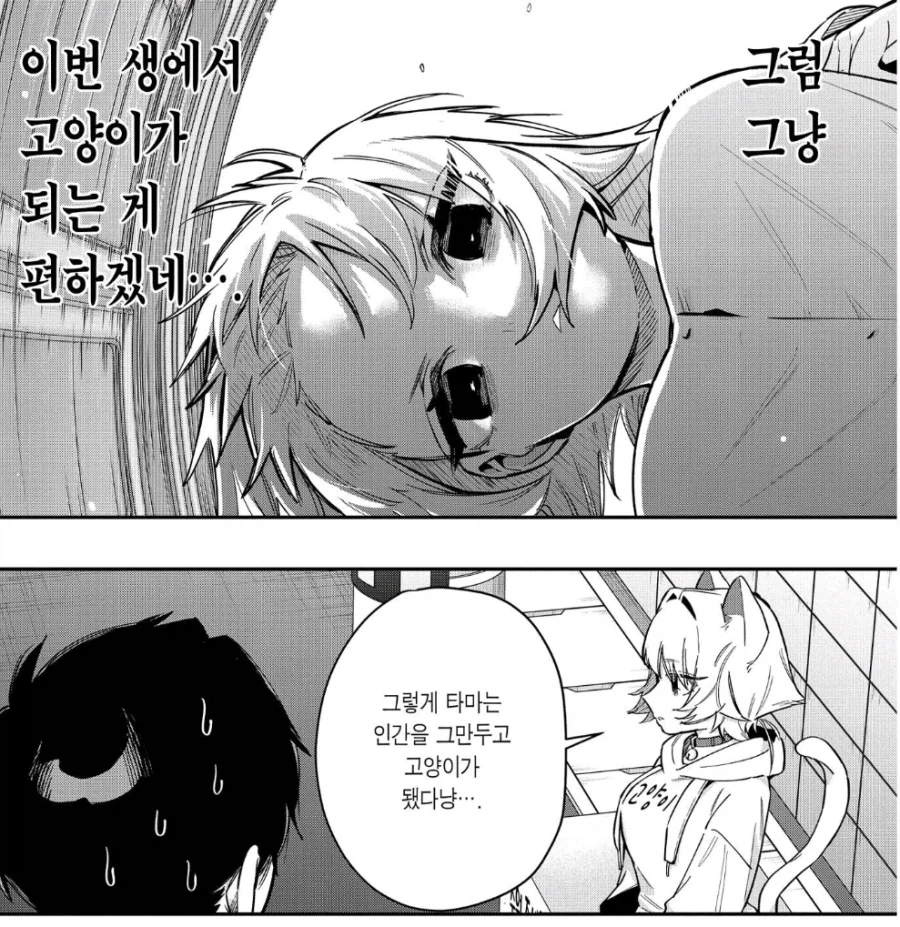 모 하렘물이 히로인 구원서사 모임이라 불리는 이유_8.webp