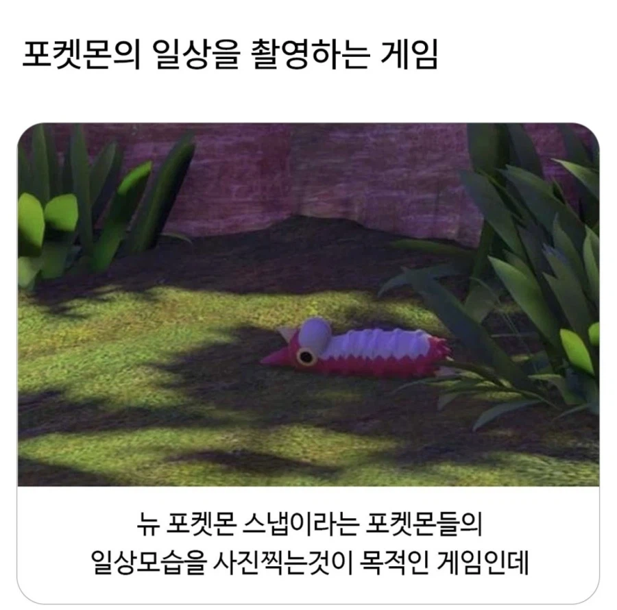 포켓몬의 일상 특_1.webp