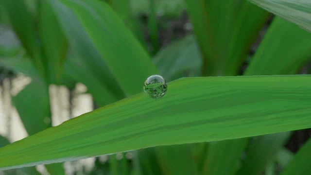 붉은사막)세계를 만들었다고 하더니 어디까지 만든거야_1.webp