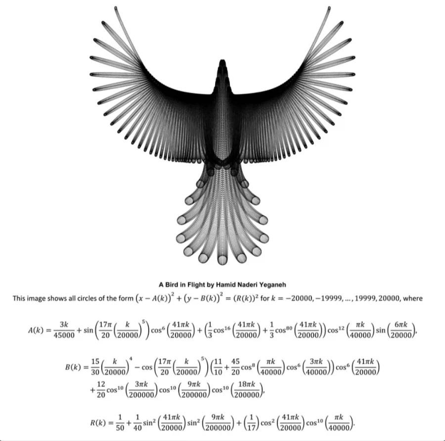 수학공식으로 예술을 하는 사람.jpg_3.webp