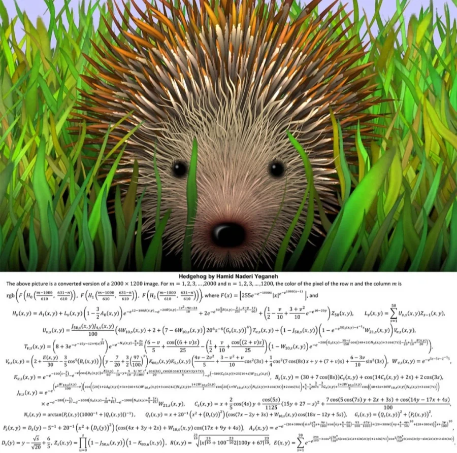 수학공식으로 예술을 하는 사람.jpg_4.webp