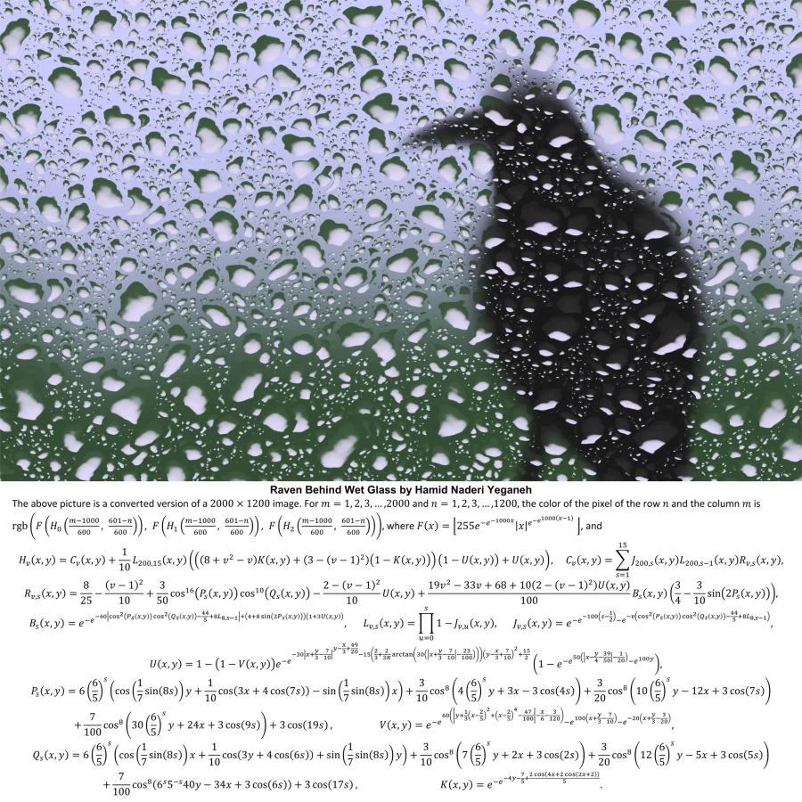 수학공식으로 예술을 하는 사람.jpg_6.webp