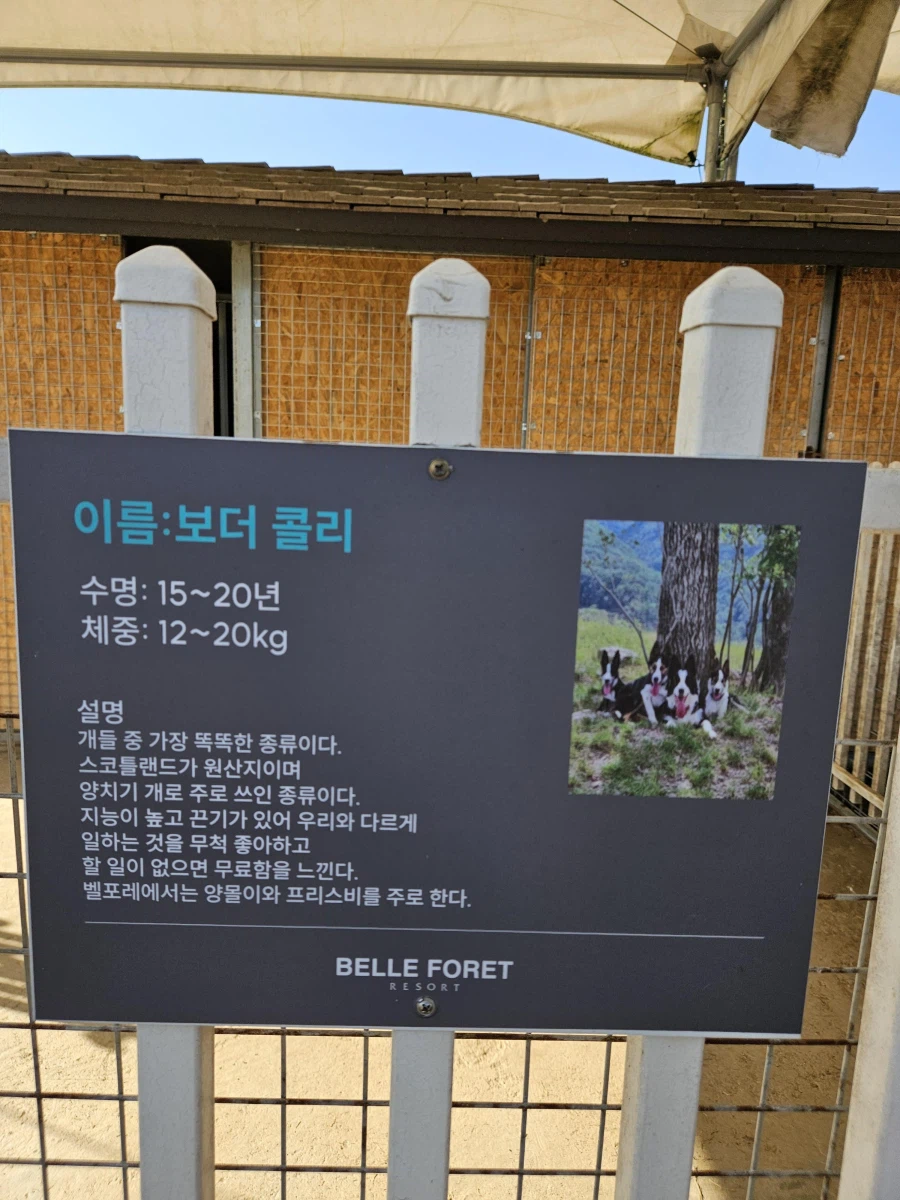 우린 지능이 낮고 끈기가 없음_1.webp