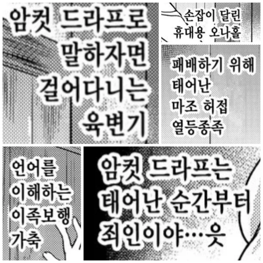 동인지로 설정을 배우면 안되는 이유_1.webp