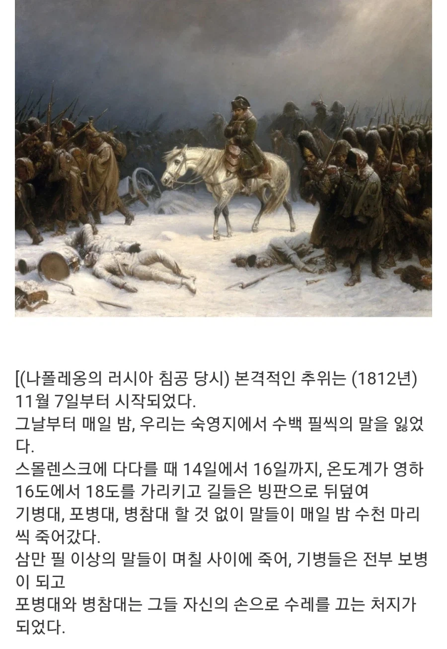 나폴레옹이 러시아에서 후퇴할 때 있었던 일_1.webp