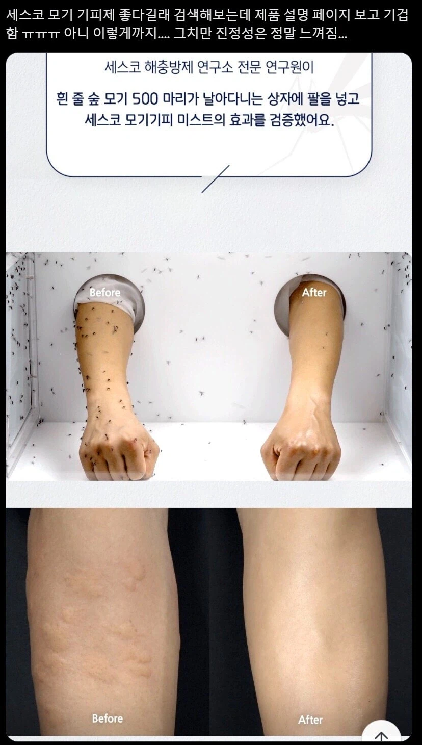 요 며칠 모기 한두마리 보이던데_1.webp