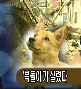 좃소다니는 3D 디자이너가 AI 안무서운 이유_1.webp