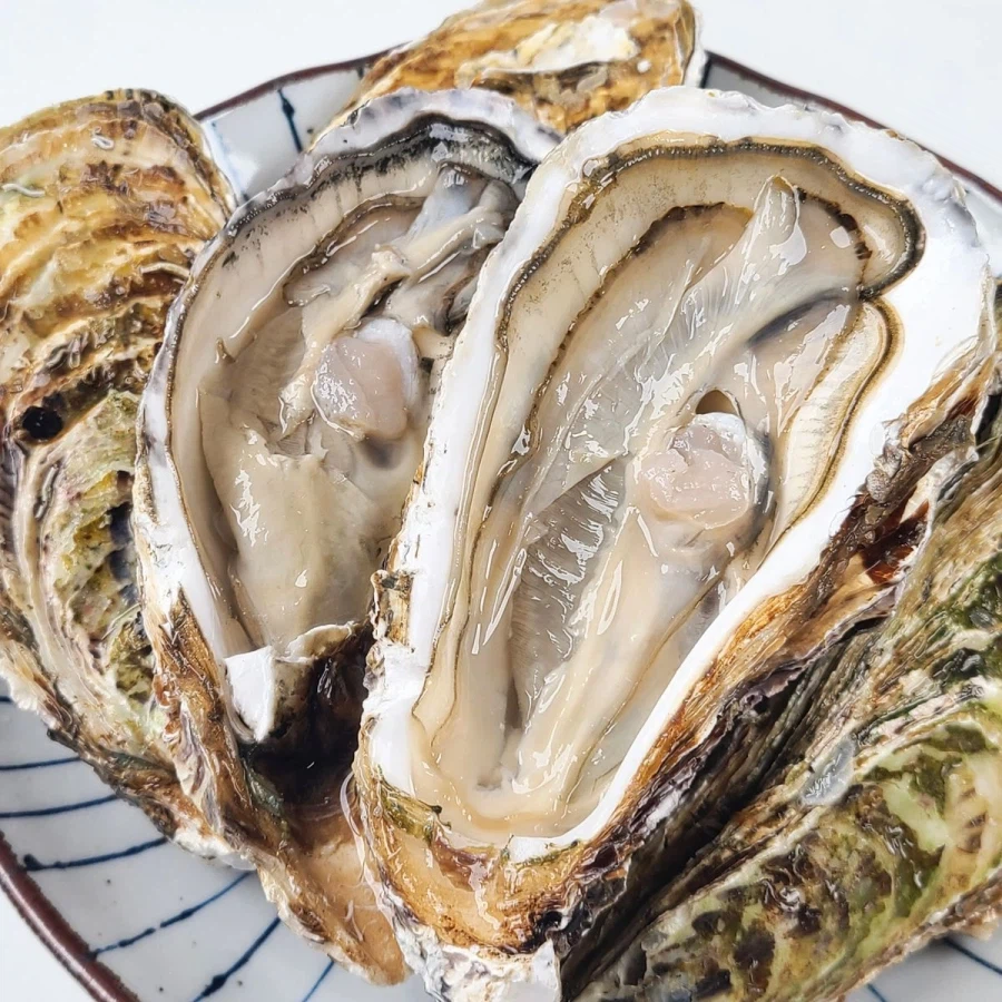 가챠 싫어하는 사람도 한다는 가챠.JPG_1.webp