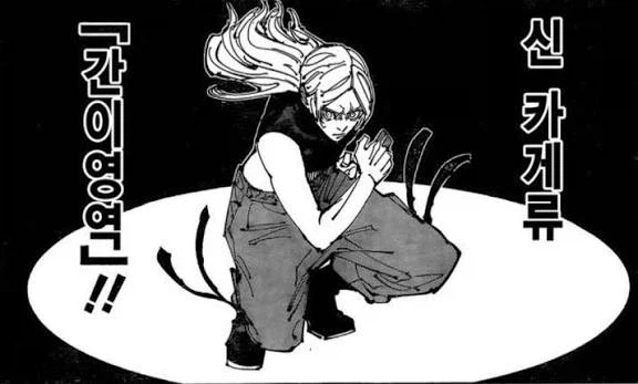 신 카게류 간이영역_2.webp