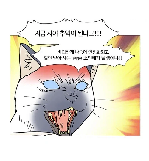 붉은사막)의외로 현명하지 못한 소비자._1.webp