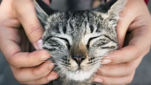 홍명보 망언에 축잘알들도 솔직히 인정하는 것_2.webp