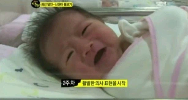 신생아실의 서열_2.webp