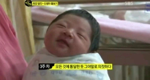 신생아실의 서열_3.webp