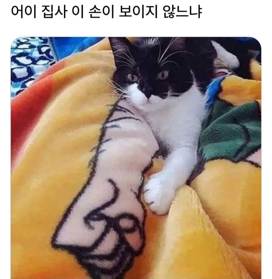 야 집사 츄르 안가져와?_1.webp