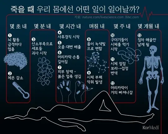 현실에서 좀비 사태가 일어난다면...jpg_1.webp