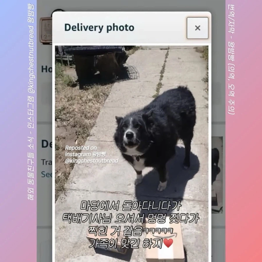 집에 아무도 없는데 가족이 수령했다고 배송완료 문자가 왔다...ㄷㄷ_1.webp