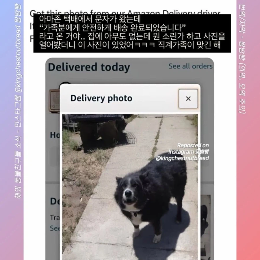 집에 아무도 없는데 가족이 수령했다고 배송완료 문자가 왔다...ㄷㄷ_2.webp