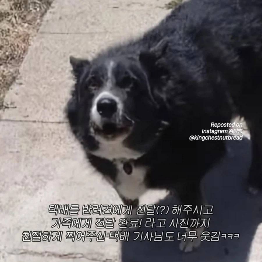 집에 아무도 없는데 가족이 수령했다고 배송완료 문자가 왔다...ㄷㄷ_3.webp