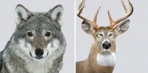 눈매의 중요성_1.webp