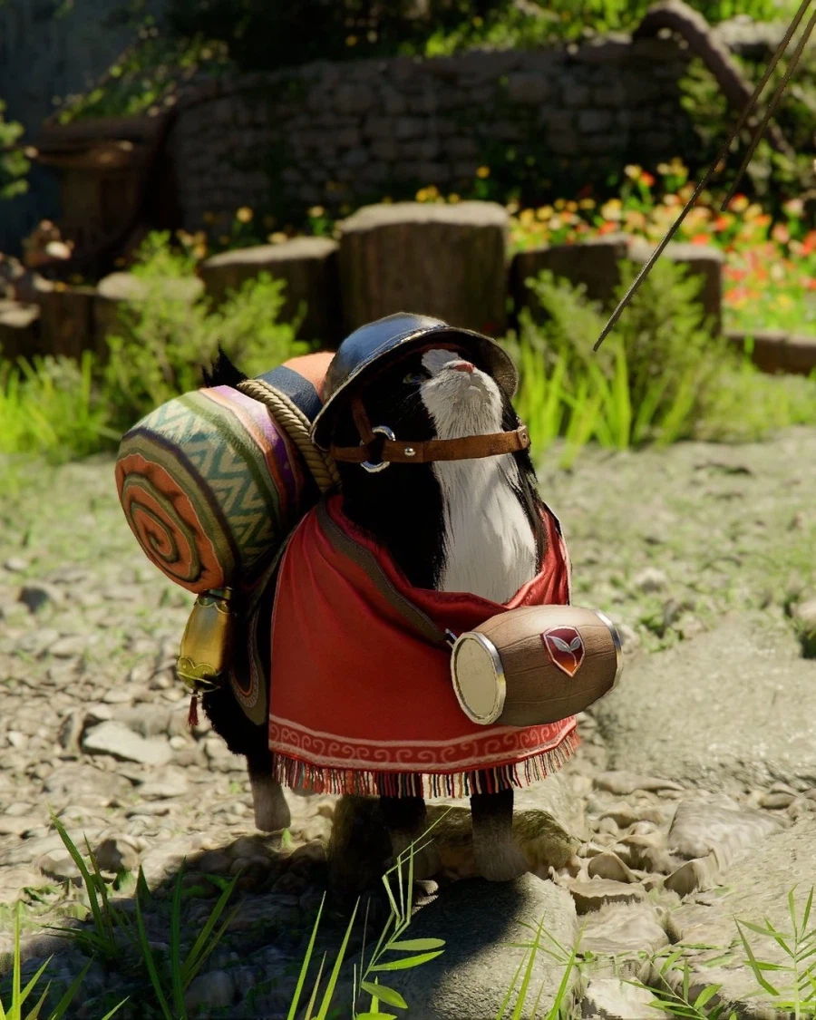 붉사] 집사의 여정을 도울 냐옹이..._1.webp