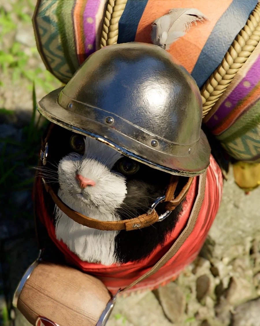 붉사] 집사의 여정을 도울 냐옹이..._3.webp