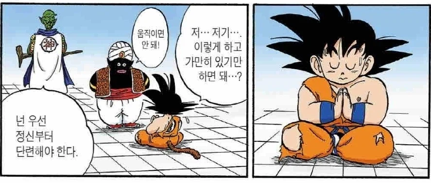 (드래곤볼) 명상에 미친 손오공_1.webp