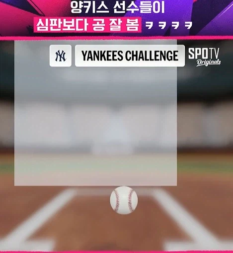 메이저 리그에 시범 도입 중인 ABS_19.webp