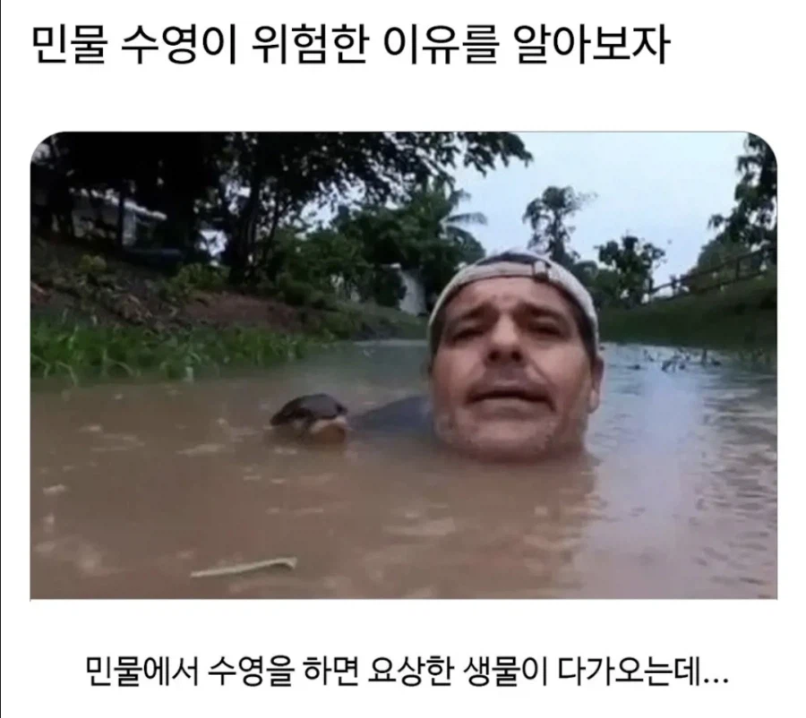 민물수영의 위험성_1.webp