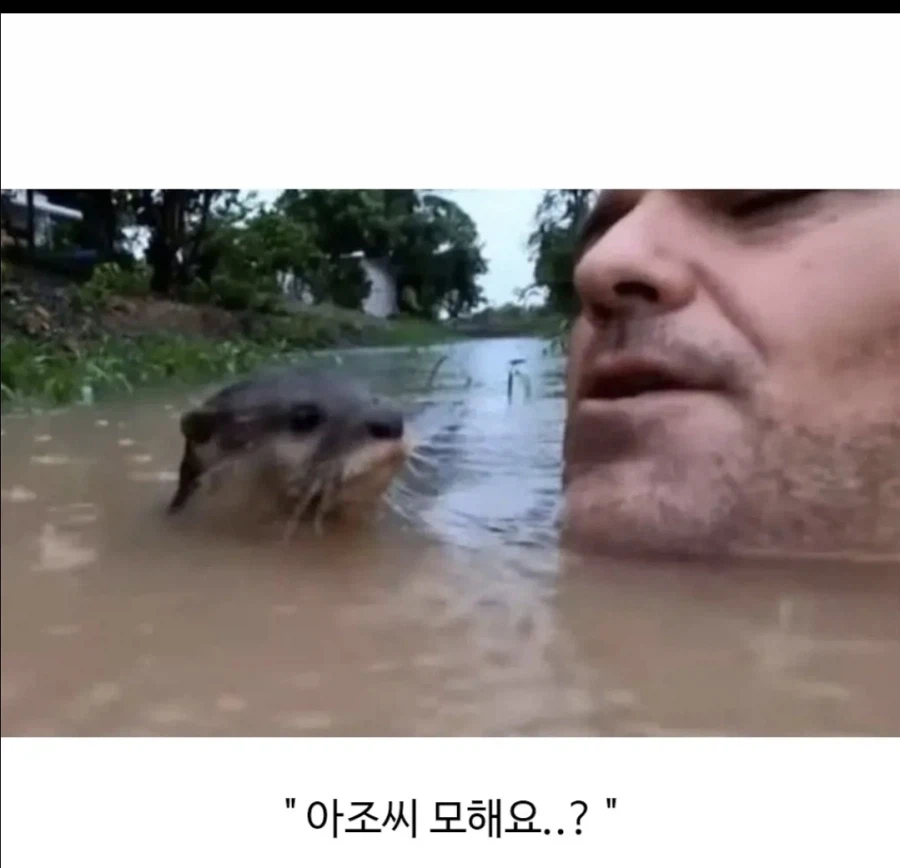 민물수영의 위험성_2.webp