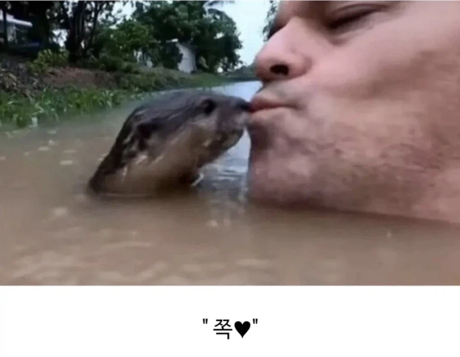 민물수영의 위험성_3.webp