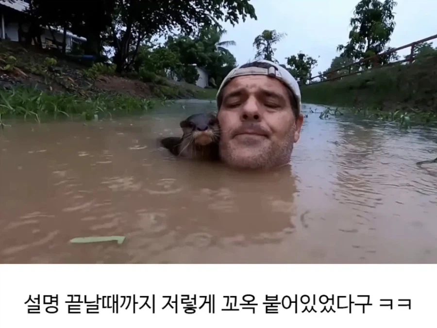 민물수영의 위험성_4.webp