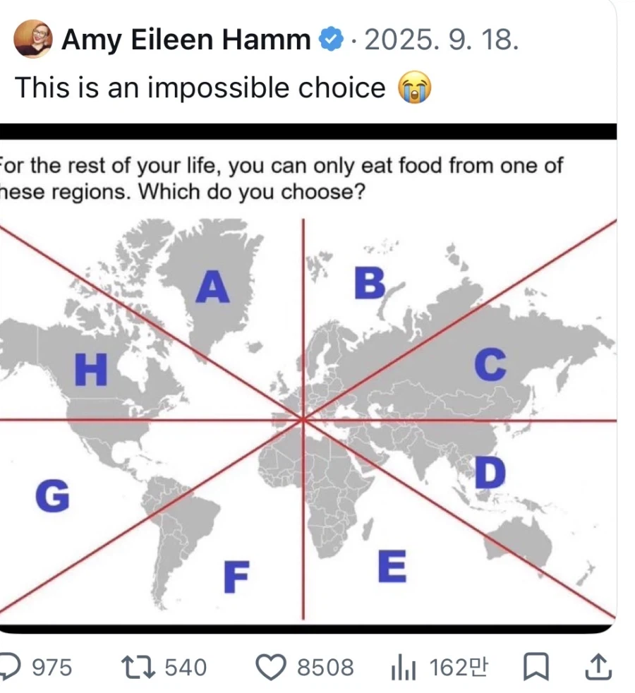 평생 한 구역의 음식만 먹을 수 있다면?_1.webp