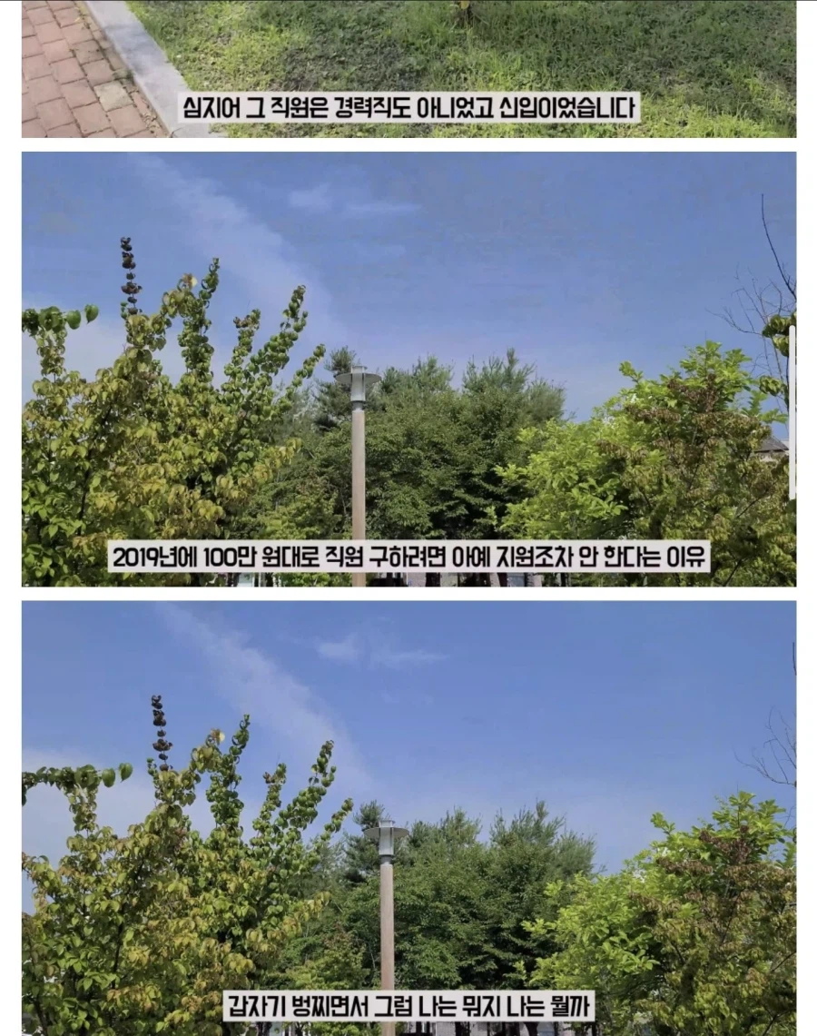 7년다닌 회사를 그만둔 이유.jpg_3.webp