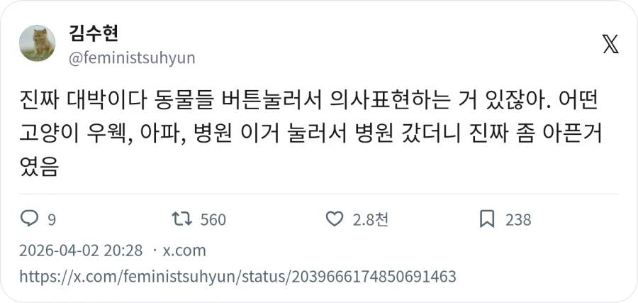 애완동물에게 의사표현 가르쳐야 하는 이유_1.webp