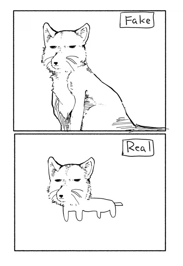 티벳여우 특징_3.webp