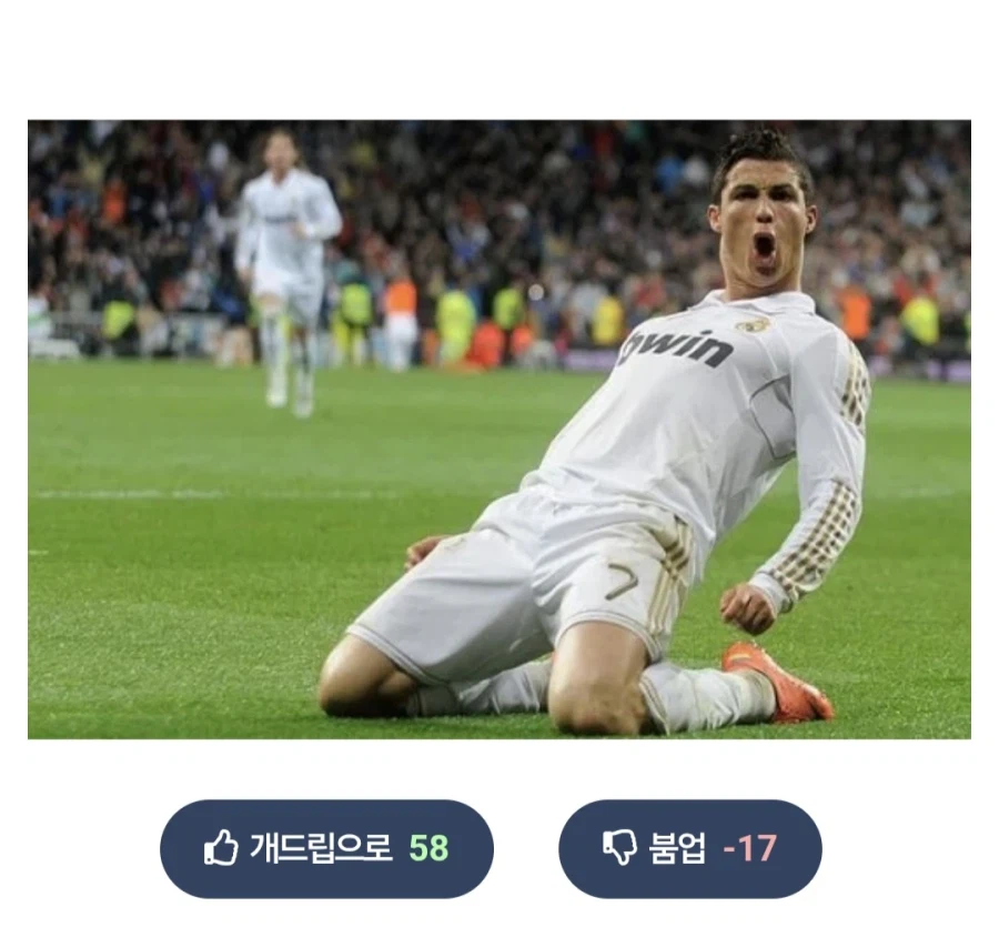 씻고 나와서 기발한 생각함.jpg_2.webp