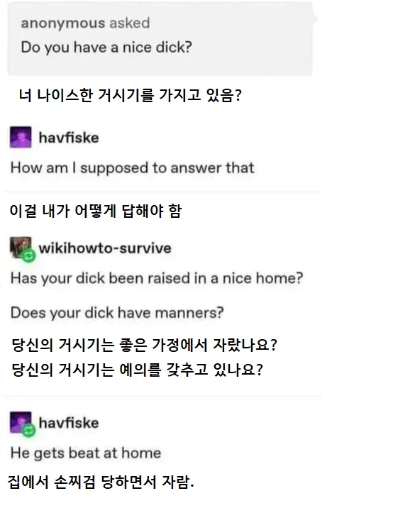 너 나이스한 거시기를 가지고 있음?_1.webp