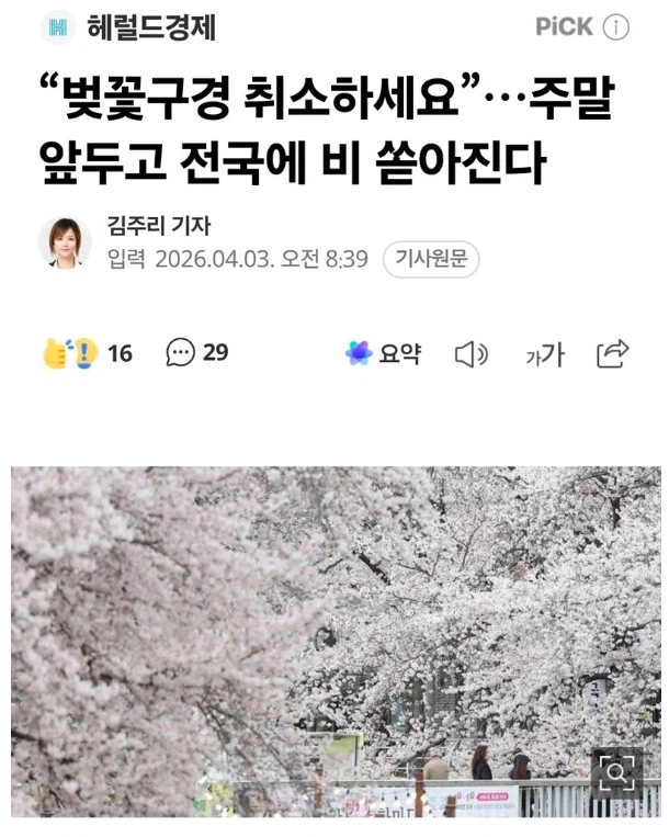 “벚꽃구경 취소하세요”…주말 앞두고 전국에 비 쏟아진다_1.webp