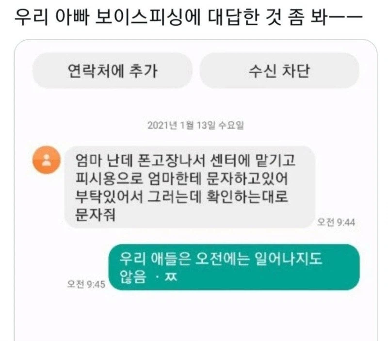 보이스피싱에 대응하는 아빠 jpg._1.webp