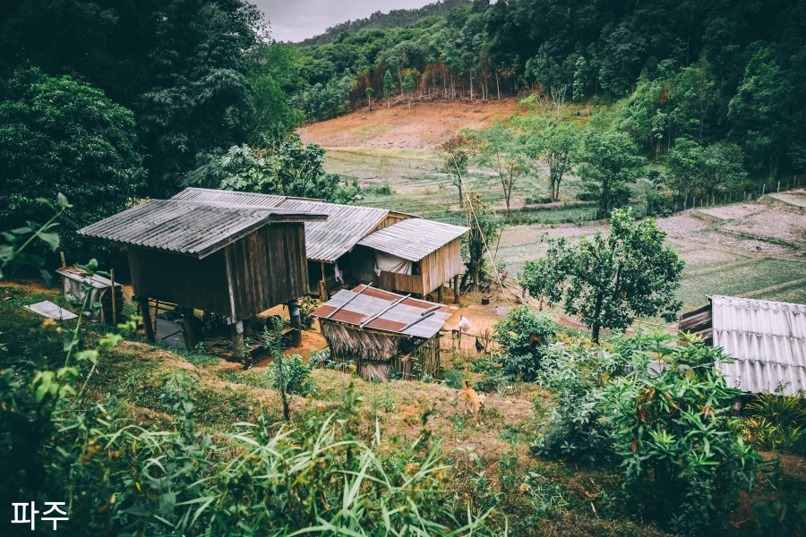 국내 도시 모습들.jpg_1.webp