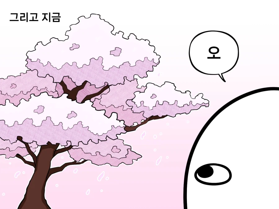 벚꽃 보고 배고프면 나이 들었다는 증거_3.webp