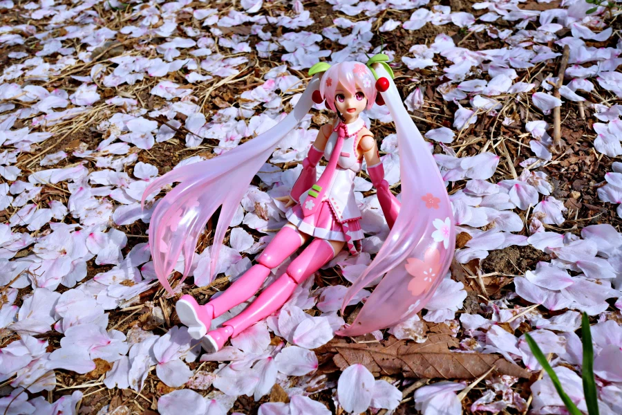 사진이 안이뻐서 보정프로그램이라는거 처음 써봄._2.webp